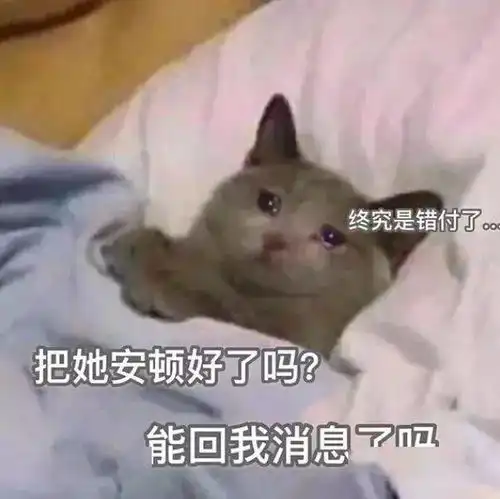  想要冬天的第一句我爱你,坐等语音