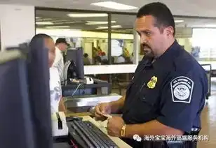  又要迎来暑期赴美生子美宝妈妈要收藏好这份带美宝回美国通关指南