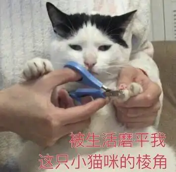  格局到底是什么