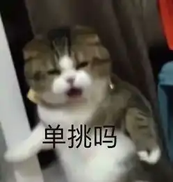  你最常用哪些有意思的表情包