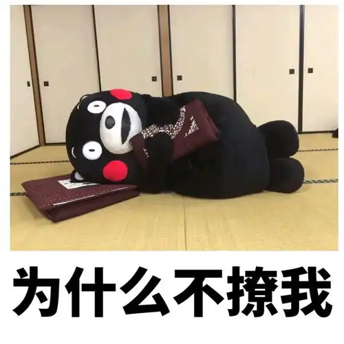  熊本熊表情包请问帅哥,你的心怎么走