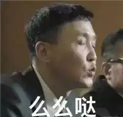  海大版人民的名义上线
