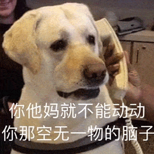  表情包谁会嫌多啊还是这么沙雕的