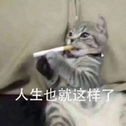 表情包软件下载拘留所