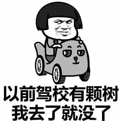  你想学车不,我不想