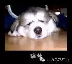  拯救节后综合症youraisemeup音乐可以抚慰人心