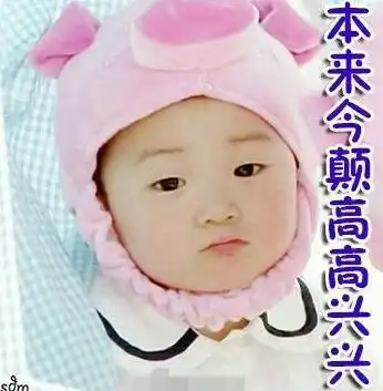  表情包扛把子宋民国已有蓝瘦香菇版