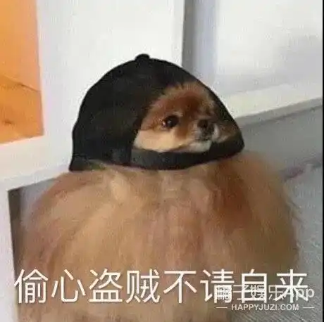猴子表情包海边走路沙雕