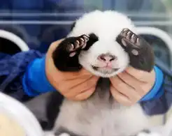  陕西频道图片