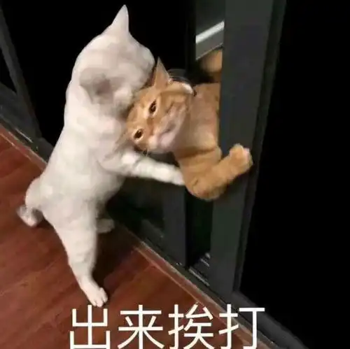  春晚你抢了多少红包