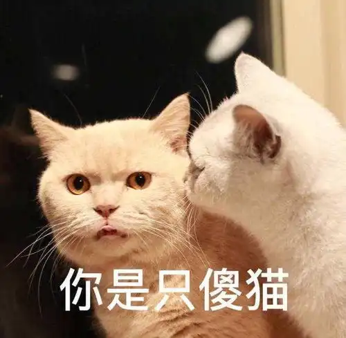  3个冷知识铲s官一定要看一看