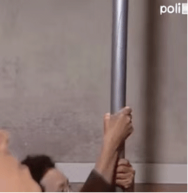  搞笑表情包罗文姬动态包合集