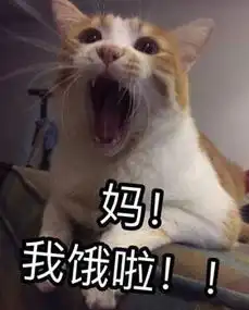 表情包软件下载睡懒觉