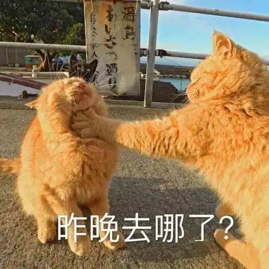  斗图必备表情包动态配图