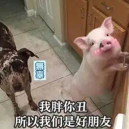  我不吃你们吃我不饿,只有凡人才要吃东西,我们小仙女都靠仙气