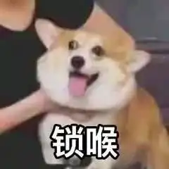  猫猫狗狗表情包