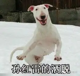  周冬雨的凝视马思纯的微笑互黑模式开启这些表情包真是一个比一个形象...