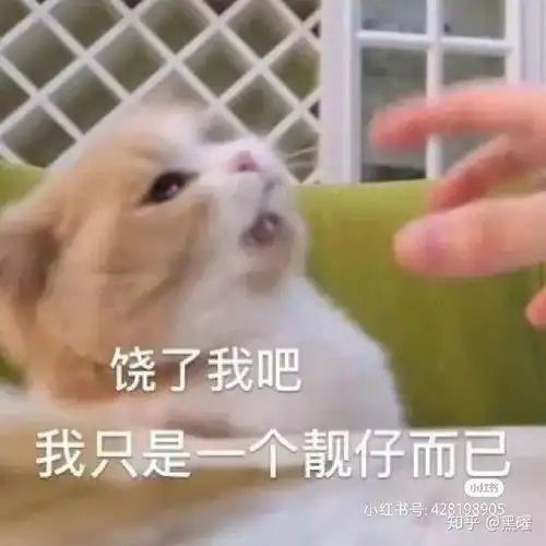 给女神打招呼的表情包咪