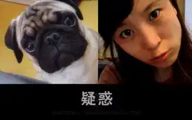  搞怪学生妹模仿猫猫狗狗表情