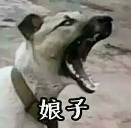 情侣头像2016最新版