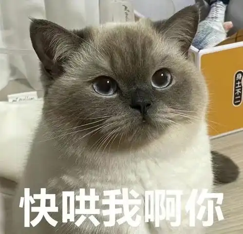  朋友圈刷到过哪些超级沙雕的肯德基疯狂星期四文案