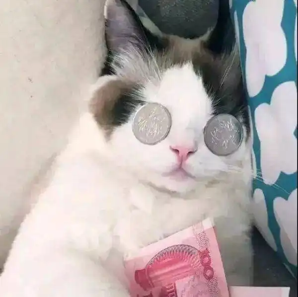  你既然已经做出了选择,又何必去问为什么选择独木舟