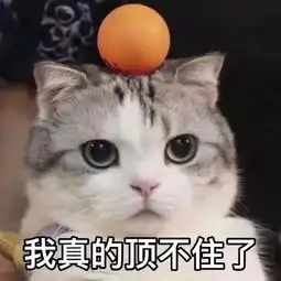  渥太华留学生烦恼榜没烦过这些的绝对是假留学生