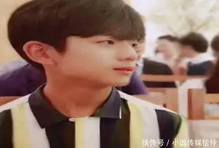  同因表情包走红,宋民国瘦成男神神似轩轩的他却成大叔