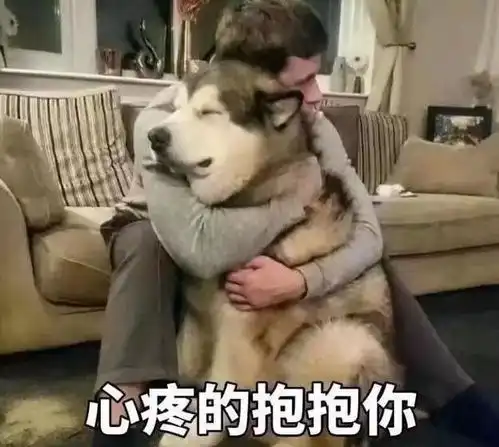  原来狗狗这些行为,是在担心你,真没养错狗
