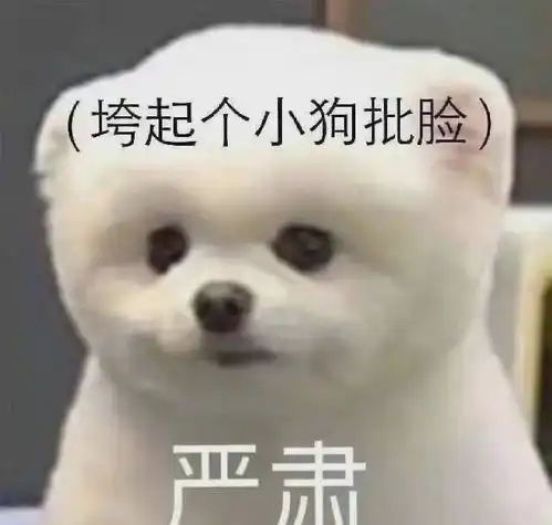 打狗狗表情包梅布尔