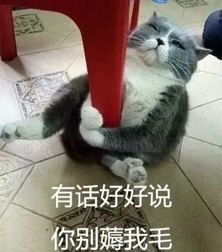  今日神段丨准岳母小伙子,你活儿怎么样如何答在线等