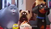  爱宠大机密