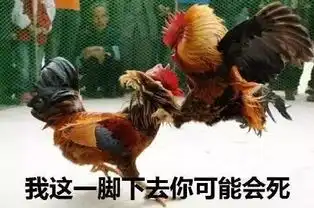  抛弃赵寅成,勾搭已婚导演,金敏喜的小三上位史比电影狗血得多