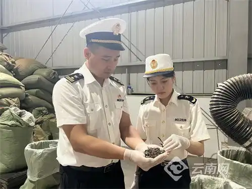  云品受欢迎口岸贸易忙