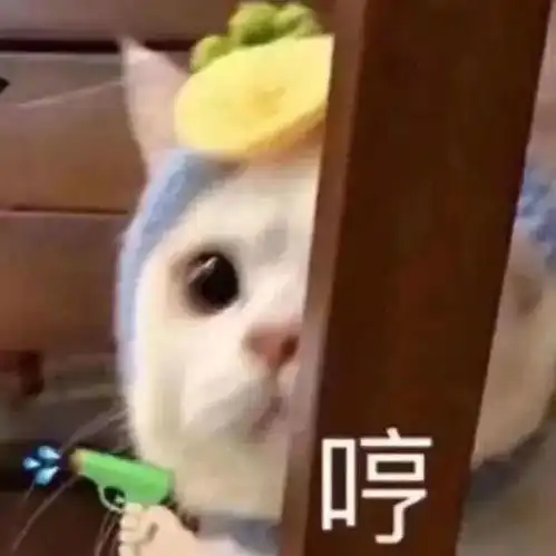  表情sir全家族对你很失望