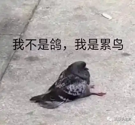 好无聊表情包齐胸