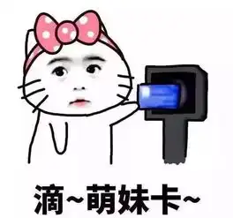  一见倾新生活篇江大生活指南