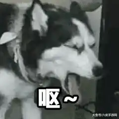  王者荣耀嫦娥后羿官配狗粮buff加1314双抗,排位重开系统被恶意利用