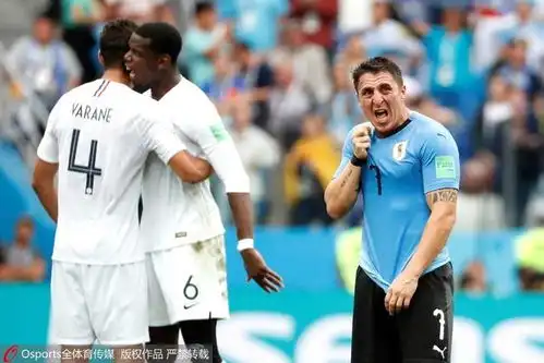 高清图世界杯7月7日表情包巴西球迷伤心痛哭