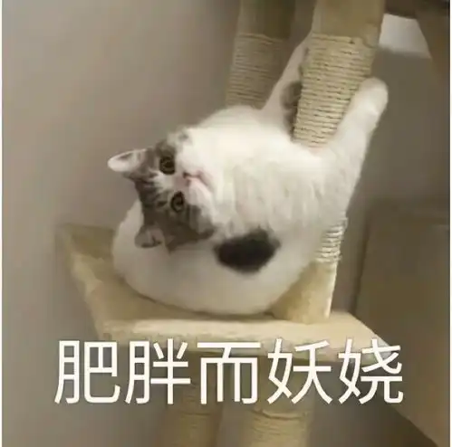  夺笋呐,你看看你说的还是人话吗