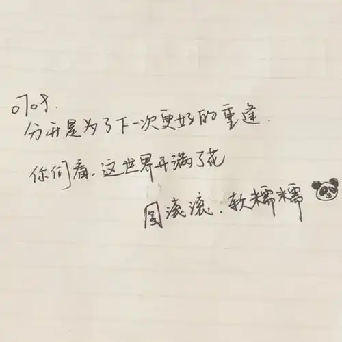  这场展览里,开满了熊猫丨黑与白熊猫艺术创意展持续火爆