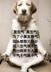  世界上有一种欺骗叫自拍但是有一种真实叫别人相机里的你