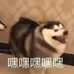  看电影到底需不需要带身份证