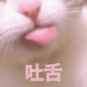  表情包
