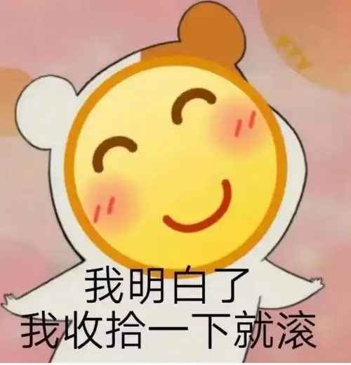  给马斯克规划了当全职网红的几个方向