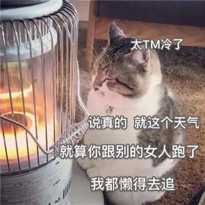  女朋友很傲娇的发给男朋友的表情发给男朋友的连串表情包