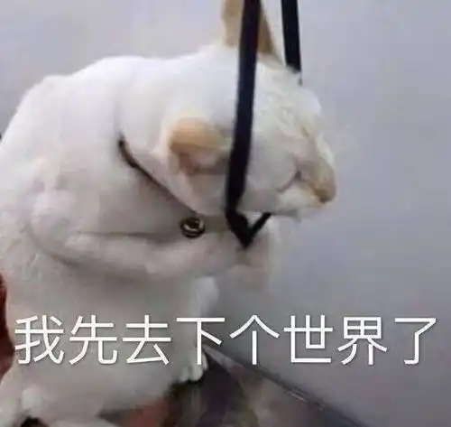  编制纹身相关...