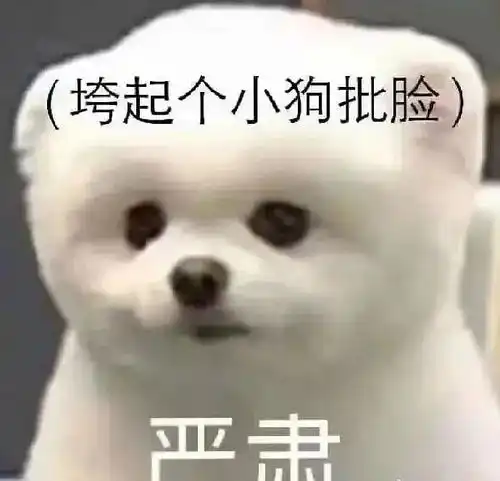  男主是个变态疯批私下暗戳戳对付女主身边的情人们,女主浪女回头已找到