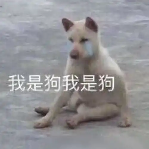  表情狗会收藏的表情包,我是狗,你咬我啊表情