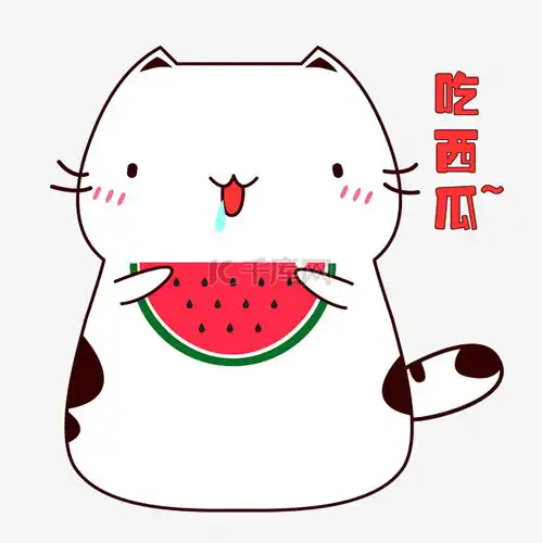 钞票图片表情包小肥